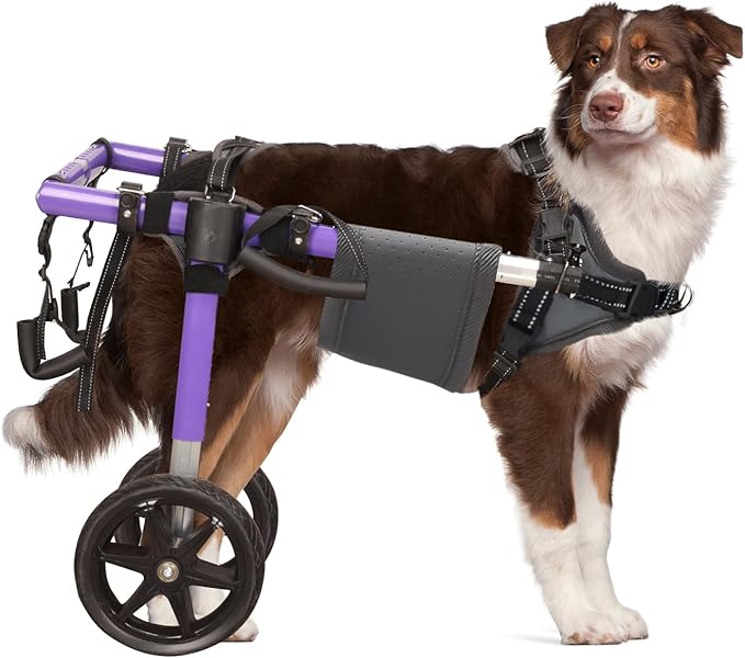 Dog Wheelchair for Back Legs - Lightweight Aluminum Alloy Dog Wheelchair, Upgraded All-Terrain Tires for Med Dogs, 35-48.5 lbs(M)