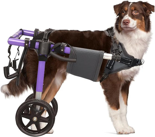 Dog Wheelchair for Back Legs - Lightweight Aluminum Alloy Dog Wheelchair, Upgraded All-Terrain Tires for Med Dogs, 35-48.5 lbs(M)