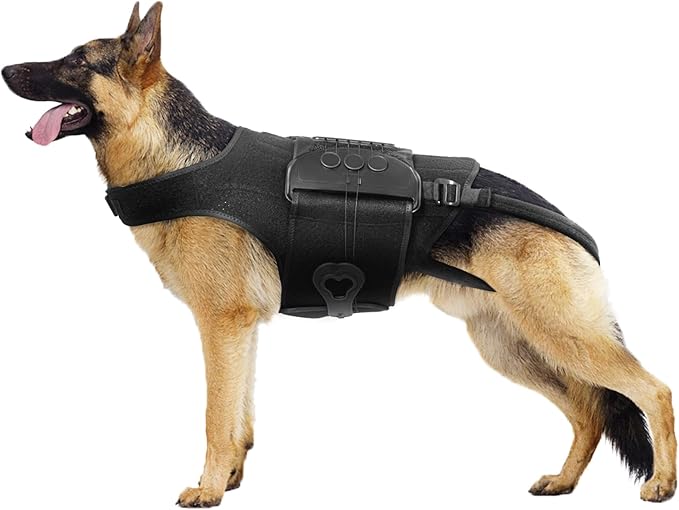 Dog Back Brace for IVDD, Arthritis, Slipped and Herniated Discs – Provides Back Support and Pain Relief, Stabilizes Spine for Surgical Recovery and Mobility, Dogs Back Disease Prevention(Black,XL)