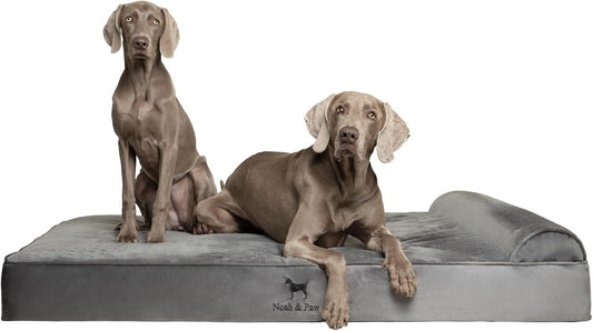 NOAH & PAW Giant Dog Bed XXL 55x45x9.5 Inch, Orthopedic Dog Beds, Eggshell Memory Foam Infused with Cooling Gel, Waterproof, Machine Washable, Includes Inner Cover (Velvet Collection)