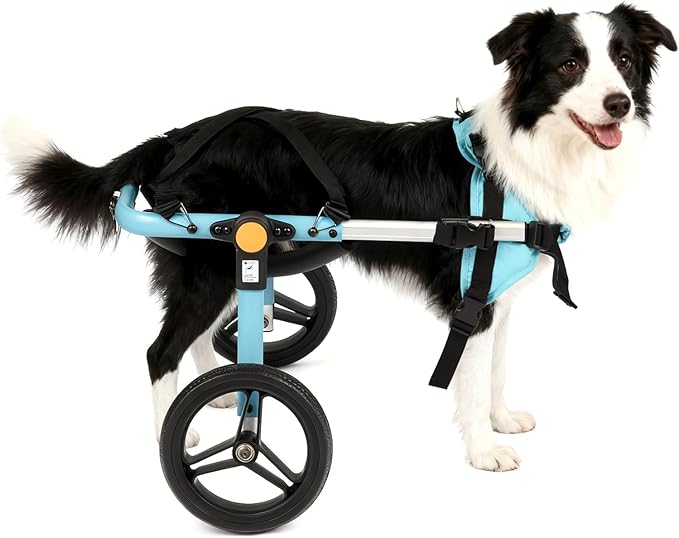 TailWaggers Small Dog Wheelchair for Back Legs | Adjustable Mobility Aid | All-Terrain Wheels