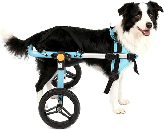TailWaggers Small Dog Wheelchair for Back Legs | Adjustable Mobility Aid | All-Terrain Wheels