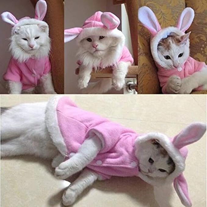 Easter Bunny Dog Costume Puppy Hoodies Dog Clothes pet Suit for Small Dogs Cats (Color : Pink, Size : m)