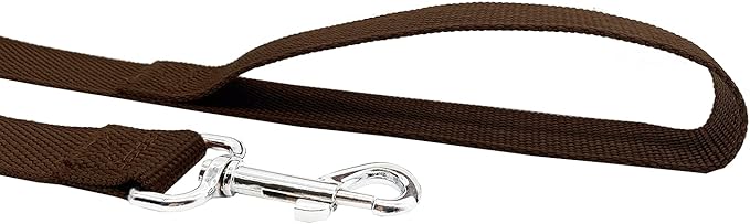 TAIDA Strong Nylon 16 Feet Long Dog Leash, 16 Foot Dog Leashes for Medium Large Dogs, 1 Inch Wide