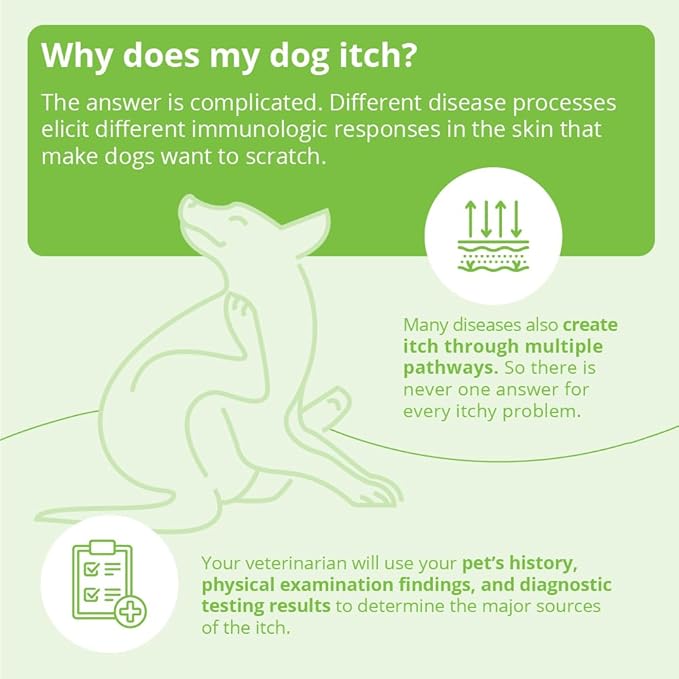 Oatmeal Shampoo, 12 Ounce