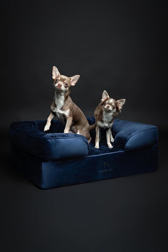 NOAH & PAW Dog Bed, 28x23x11 Inch, Orthopedic Dog Beds for Medium Size Pets, Eggshell Memory Foam Infused with Cooling Gel, Inner Cover, Waterproof, Machine Washable (Velvet Sofa Collection)