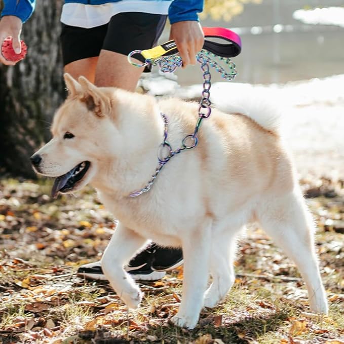 TSPRO Dazzling Chew Proof Leash - 3.9 FT Stainless Steel Metal Training Leash with Soft Handle for Medium Large Dog (4MM, Sparkly)