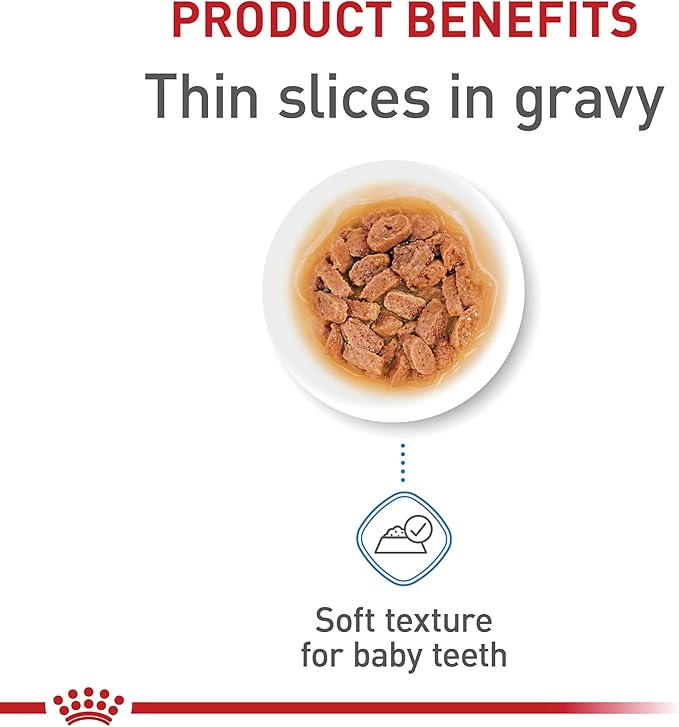 Royal Canin Size Health Nutrition X-Small Puppy Thin Slices in Gravy Dog Food, 3 oz (Pack of 12)