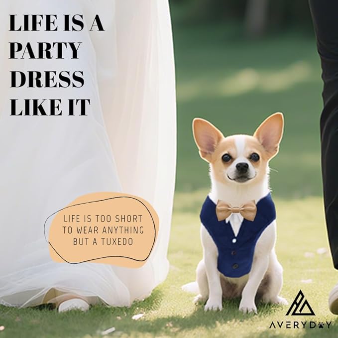 AVERYDAY XS Pet Tuxedo Harness, Wedding Costume Outfit for Small Dogs, Slim Cats and Tiny Pets with 8.3" Neck, 13-14.6" Chest, 10" Max Head Girth, Formal Suit Costume for Mini Breeds
