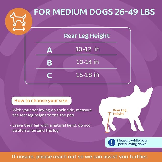 Walkin' Wheels Dog Wheelchair - for Medium Dogs 26-49 lbs - Veterinarian Approved - Dog Wheelchair for Back Legs