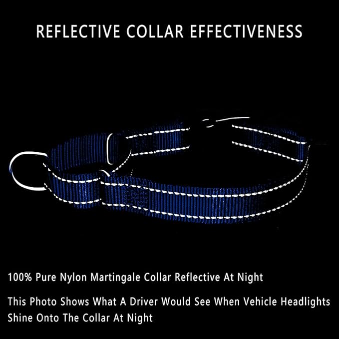 Plutus Pet Reflective Martingale Collar with Buckle - Durable and Adjustable Training Collar for No Pulling, Dog Choker Collar for Small Medium Large Dogs, Royal Blue, S