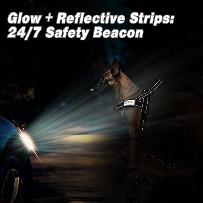 Forestpaw No Pull Dog Harness with Large Handle,Slip on Reflective Vest with Quick Release Buckle,Comfortable Flannel Lining for Medium Large Dogs Walking Training (Includes 3 Patches),Black M