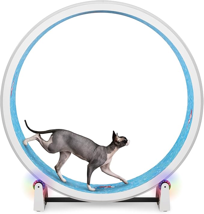 One Fast Cat - Cat Exercise Wheel - Gen. 7 - Safe 48" Diameter - Made in The USA - White Wheel with Koi Pond Foam Traction Pads and Light-Up LED Inline Wheels