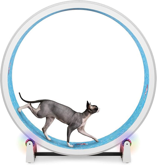 One Fast Cat - Cat Exercise Wheel - Gen. 7 - Safe 48" Diameter - Made in The USA - White Wheel with Koi Pond Foam Traction Pads and Light-Up LED Inline Wheels