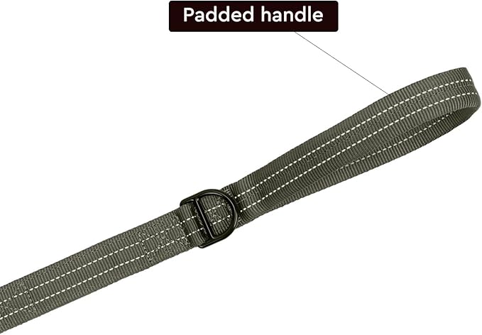 ICEFANG Short Dog Leash 18 Inch Reflective Nylon Traffic Leash with Padded Handle,Heavy Duty Auto Lock Swivel Clip for Medium Large Dogs No Pull Training Walking (Green, 18 Inch)