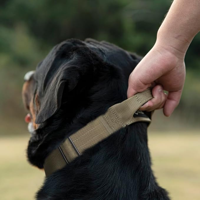 TSPRO Premium Dog Collars Tactical Dog Collar with Handle and Heavy Duty Quick-Release Metal Buckle Durable Thick and Adjustable for Medium to Large Dogs (Geometric Style M)