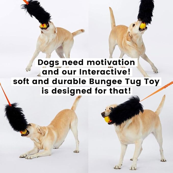 HOWGO Dog Rope Toy,Dog Bungee Chaser Toy 100% Sheepskin,Sheep Smell Tug Toy for All Breeds (Purple, with Rubber Ball)