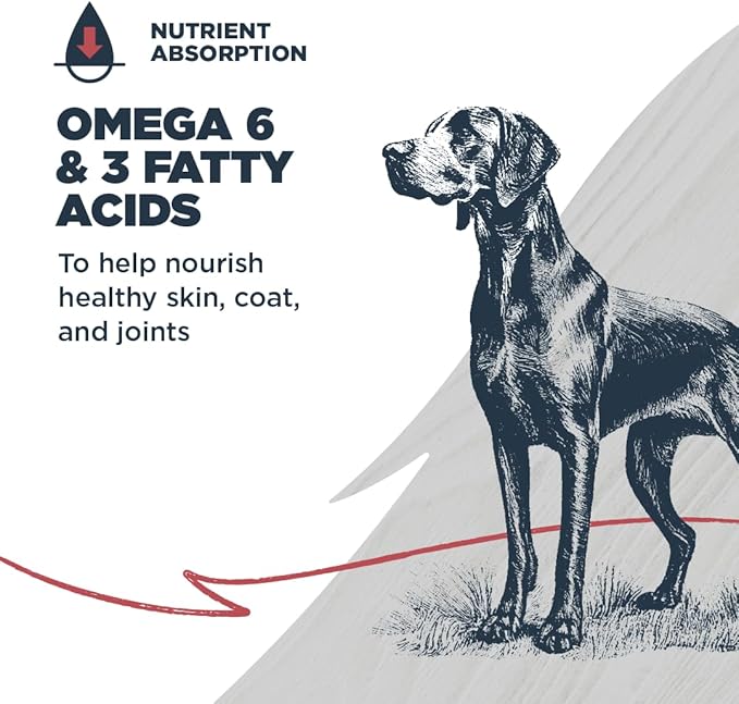 Blackwood Complete & Balanced Diet Dry Dog Food, Chicken Meal & Brown Rice with Ancient Grains, 24 Pound Bag, Slow Cooked with Vitamins & Minerals