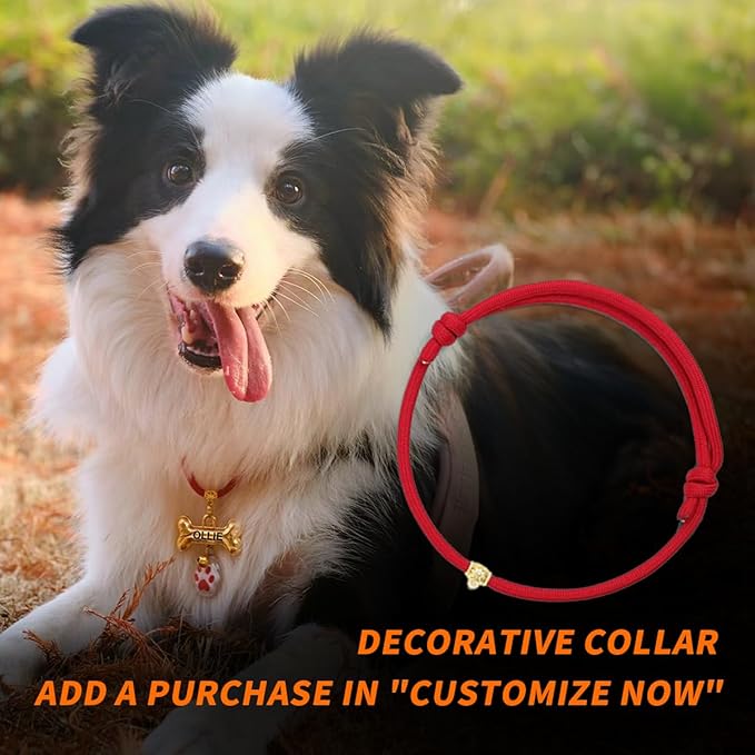 Dogs Tag Stylish Personalized Double Sided Deep Engraved Cat & Dog Tags Engraved for Pets Bone Balloon Shape Brass