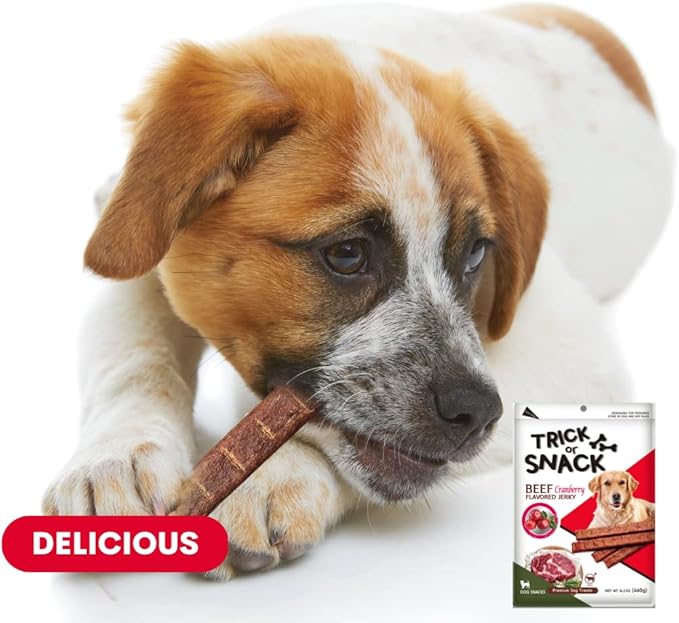 Premium 1lb Dog Jerky Treats | Dog Training | Dog Walking | Natural Grillers | Healthy Smoked Beef Chicken Salmon Chews Snacks Beef Cranberry Jerky