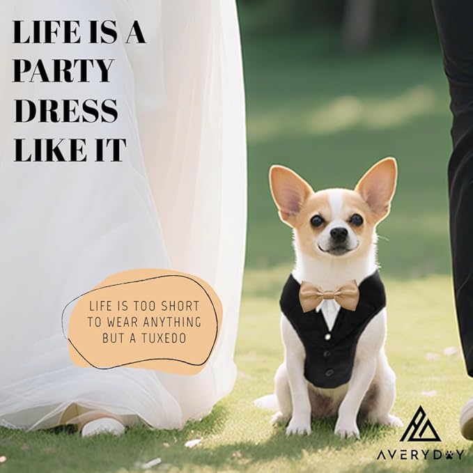 AVERYDAY XS Pet Tuxedo Harness, Wedding Costume Outfit for Small Dogs, Slim Cats and Tiny Pets with 8.3" Neck, 13-14.6" Chest, 10" Max Head Girth, Formal Suit Costume for Mini Breeds