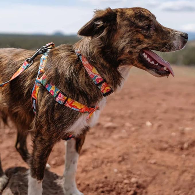 Wolfgang Heavy Duty Adjustable Dog Harness, Pull-Tested to Over 800 lbs for Walking & Training, PackLeader Print, Extra Large