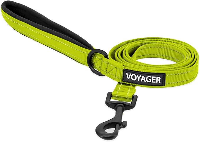 Voyager Reflective Dog Leash with Neoprene Handle, 5ft Long, Supports Small, Medium, and Large Breed Puppies, Cute and Heavy Duty for Walking, Running, and Training - Lime Green (Leash), S