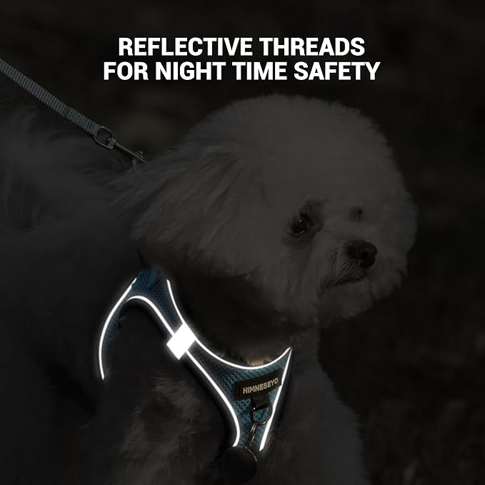 Dog Harness and Leash Set, Dog Harness for Dogs No Pull, No-Chock Step-in Reflective Breathable Lightweight Easy Walk Vest Harnesses with Safety Buckle for Small Dogs, Cats (Light Blue, S)