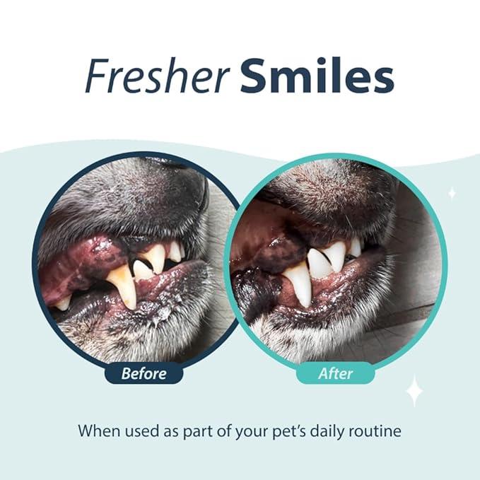 Dental Fresh Water Additive for Dogs, Original Formula, 17oz – Dog Breath Freshener and Teeth Cleaning for Dental Care– Add to Water