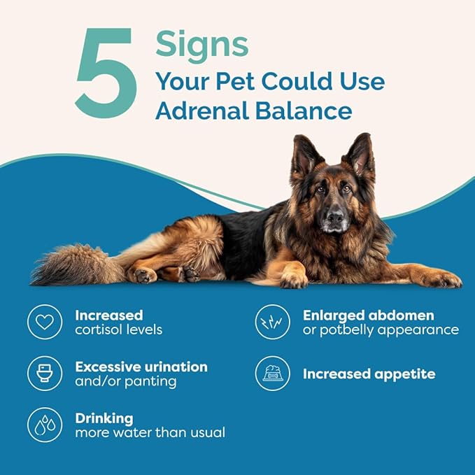 PranaPets Adrenal Balance for Dogs with Cushing’s | Naturally Relieves Symptoms of Cushing's in Dogs | Herbal Formula for Dogs with Cushing’s