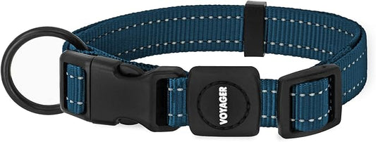 Best Pet Supplies Reflective Dog Collar with Adjustable Length, Heavy-Duty Buckle, and Strong Leash D-Ring, Training, Walking, Jogging Accessory for Small, Medium, and Large Breeds - Blue, L