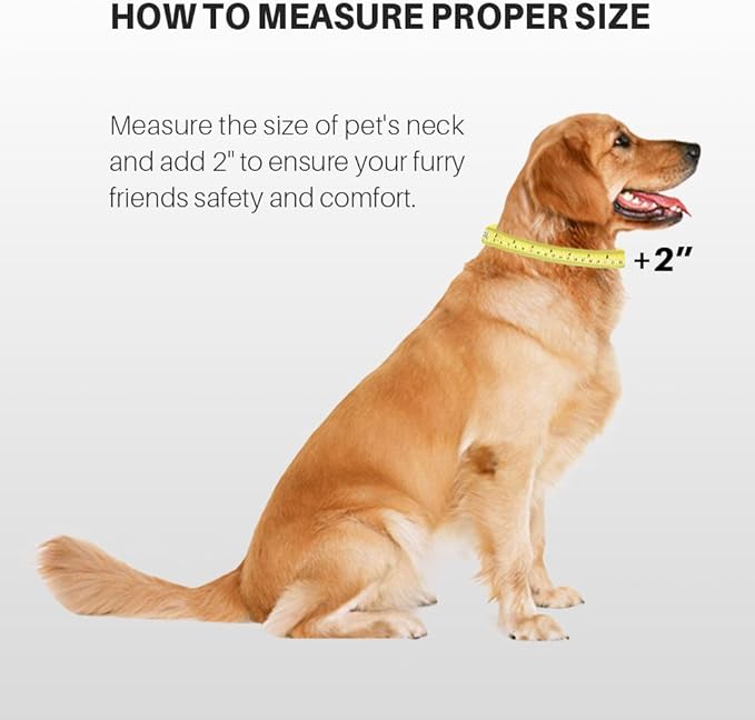 Hyhug Martingale Dog Collar Without Buckle: Escape-Proof, No Slip Heavy Duty Nylon, Colorfast Adjustable Pet Supplies for Large Breeds(Large, Lime Green)