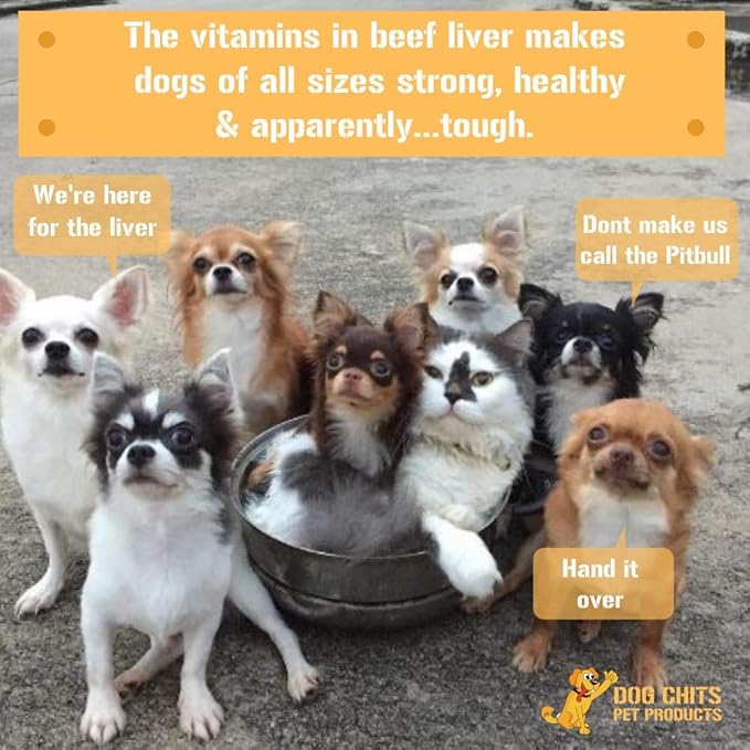 Dog Chits Beef Liver-Premium Cuts | Dog and Puppy Chews | Made in USA, Grass Fed Beef | All-Natural Quality Treats | Easily to Break (Training) | Large and Small Breeds | Irresistible Liver |10 oz.