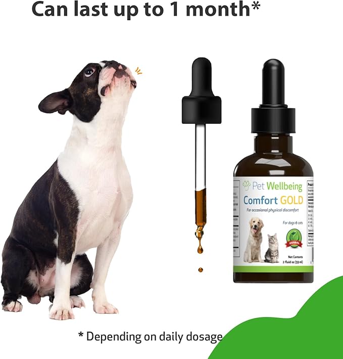 Pet Wellbeing Comfort Gold for Dogs - Supports Canine Physical Comfort, Healthy Circulation, Corydalis, Turmeric - Veterinarian-Formulated Herbal Supplement 2 oz (59 ml)