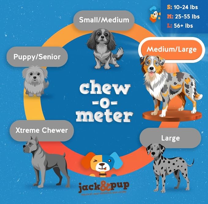 Jack&Pup 6 Inch Bully Sticks for Medium Dogs | Thick Odor Free Bully Sticks for Large Dogs | All Natural Beef Pizzle Sticks (Thick, 15 Pack)