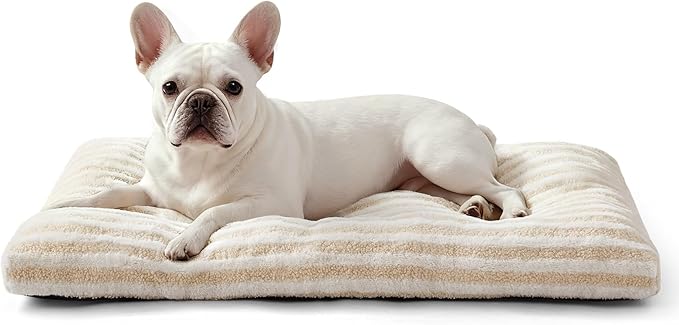 FURTIME Washable Small Dog Bed, Deluxe Dog Crate Beds Comfy Fluffy Kennel Pad Anti-Slip Pet Sleeping Mat for Puppy/Cat, Machine Washable Dogs Pillow, 23"x18"x3", White