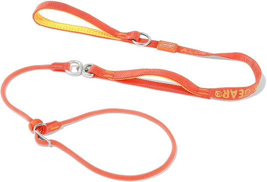 Slip Lead Dog Leash with Double Handles | Reflective Dog Training Lead with 360° Swivel Anti-Tangle | Heavy-Duty Leash and Collar for Large Medium and Small Dogs No-Pull Walking (Orange, 5.5FT)