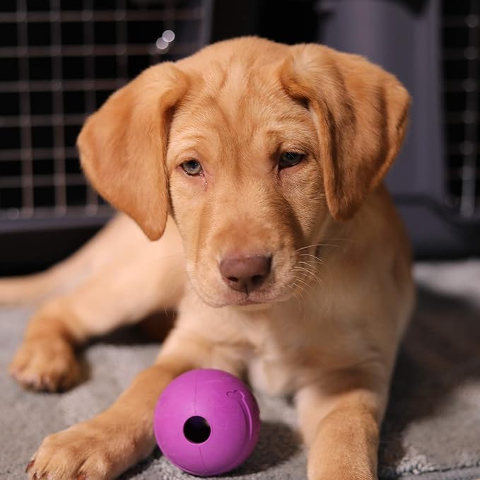 Chew King Fetch Balls Extremely Durable Natural Rubber Toy 2.5 inch, 8-pack (CM-0264-CS01)