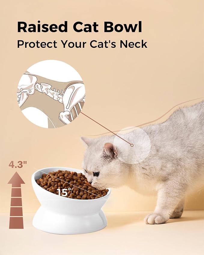 LoeJan Elevated Cat Food Bowl, 5 Oz Ceramic Raised and Tilted Water Bowl, Anti Vomiting and Protect Pets' Spines Dishes for Small Dog, Fat Faced Cat, Kitten (White, 10 OZ)