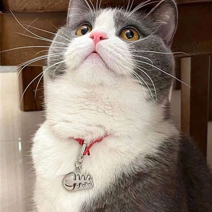 Dogs ID Tags Personalized Double Sided Deep Engraved Cat & Dog Collar Charm Fishbone Balloon Shape Brass