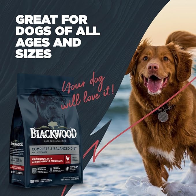 Blackwood Complete & Balanced Diet Dry Dog Food, Chicken Meal & Brown Rice with Ancient Grains, 24 Pound Bag, Slow Cooked with Vitamins & Minerals