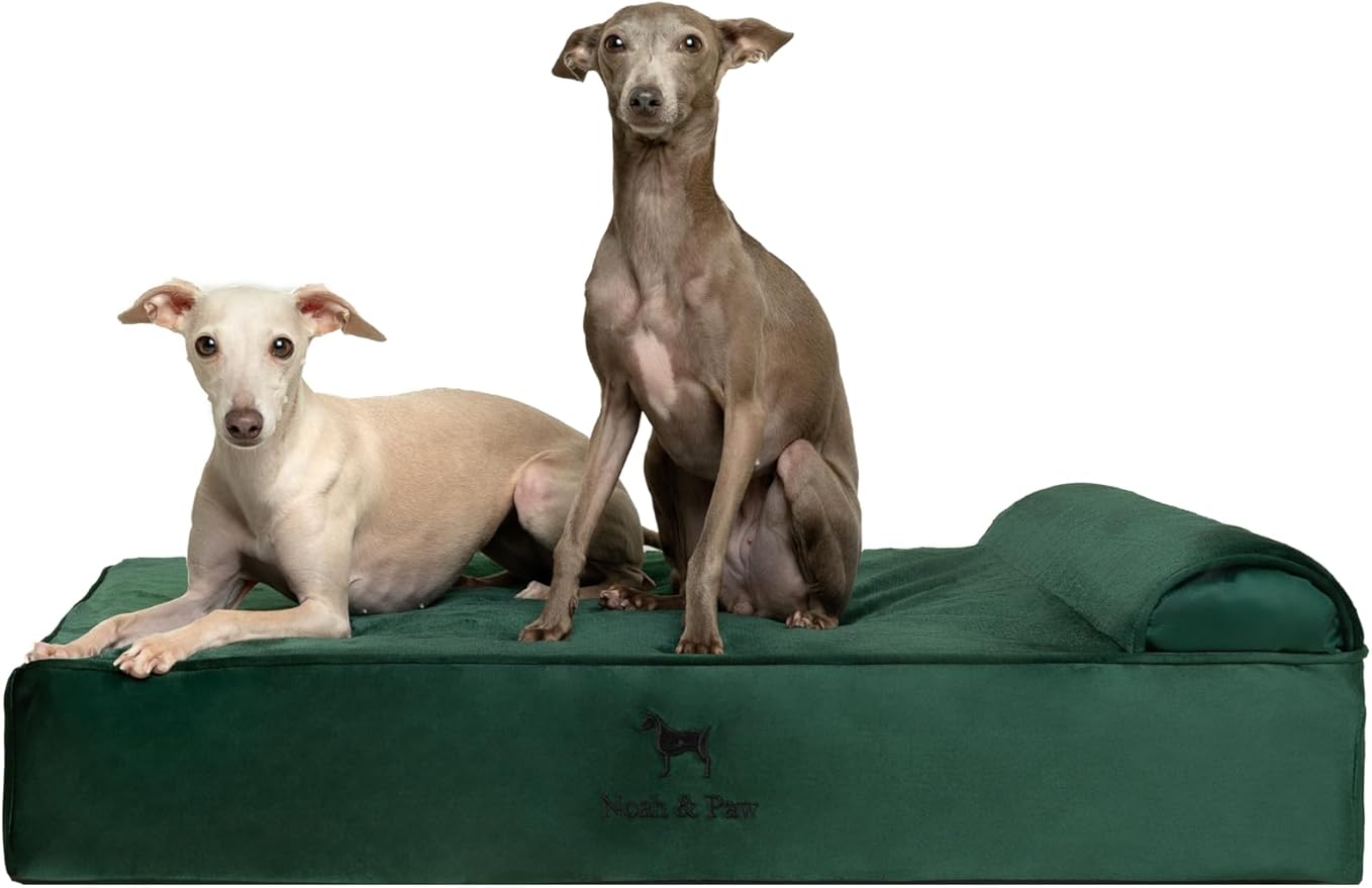 NOAH & PAW Large Dog Bed, 35x25x8.7 Inch, Orthopedic Dog Beds, Eggshell Memory Foam Infused with Cooling Gel, Waterproof, Machine Washable, Includes Inner Cover (Velvet Collection)