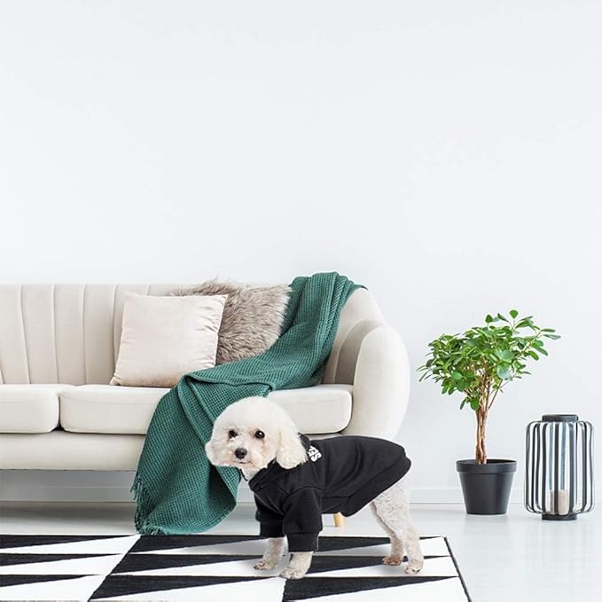 SCENEREAL Security Dog Hoodies Puppy Sweater for Large Medium Small Dogs Boys Girls, Soft Doggi Costume with Leash Hole, Pet Cold Weather Coats, Fleece Pet Clothes Hooded Sweatshirt