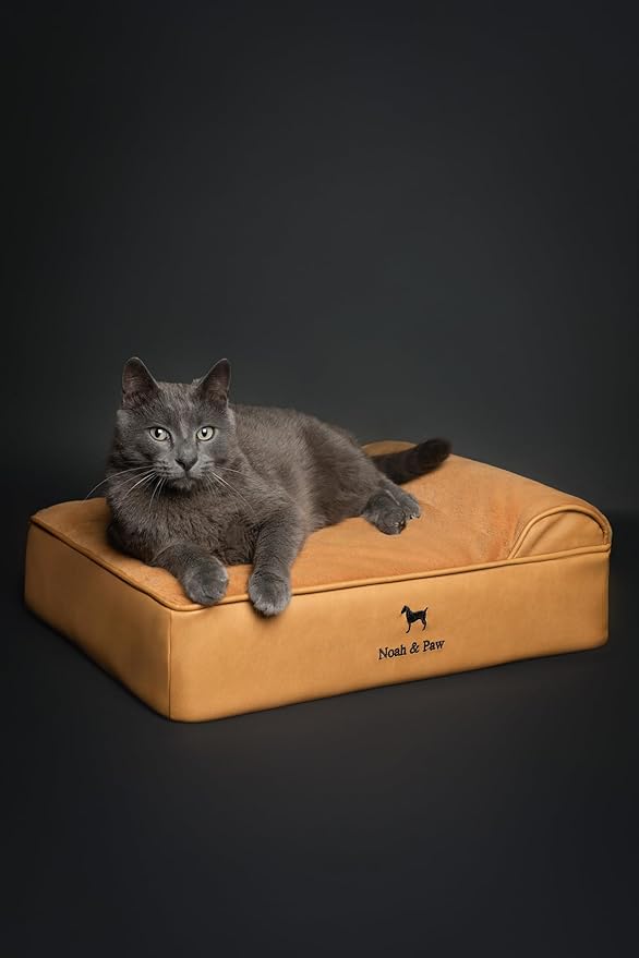 NOAH & PAW Small Dog Bed, 20x15x6.5 Inch, Cat Bed for Indoor Cats, Orthopedic Eggshell Memory Foam Infused with Cooling Gel, Waterproof, Machine Washable, Includes Inner Cover (Faux Leather)