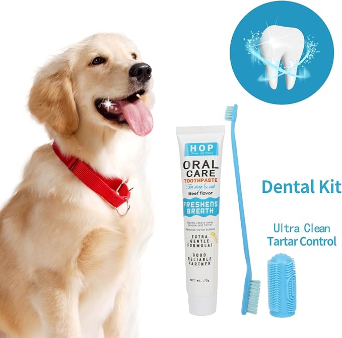 HOP Pet Toothbrush Kit 10PCS Cats Dogs Dental Care Soft Bristles Finger Toothbrush Set Toothpaste Fresh Breath Dog Oral Care Kit Suitable for All Pets Home of Paws