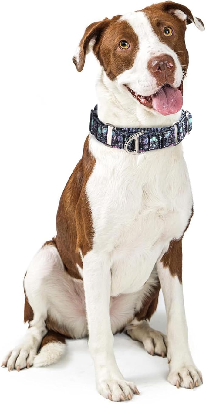 Martingale Collar for Dogs - Reflective Nylon with Padded Comfort & Quick Release Buckle - Skull Design, No Slip Choke Heavy Duty Collar for Safe Training, Walking & Nighttime Use M