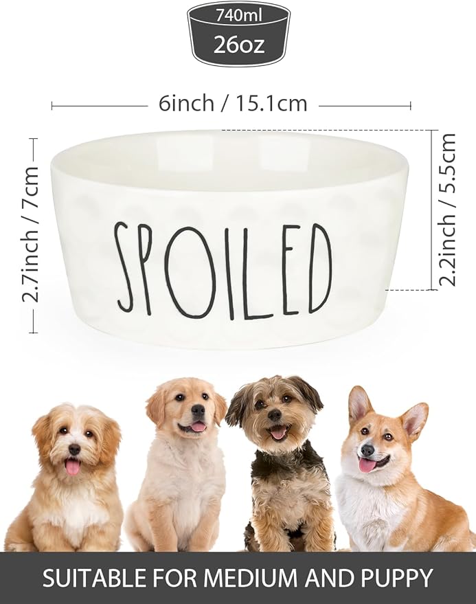 27OZ Ceramic Dog Bowl - 6 Inch Small Food Water Bowl, Heavy Duty Non-Slip Dog Dish for Medium Dogs, Food Grade Porcelain Pet Feeder Bowls, Microwave & Dishwasher Safe, White