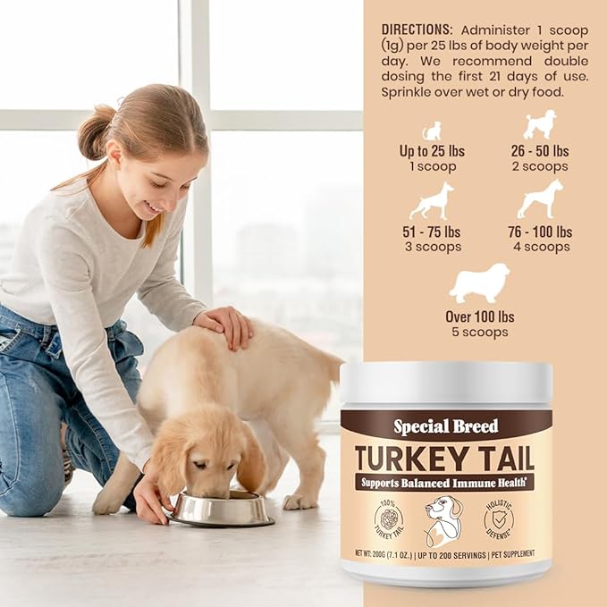 Turkey Tail Mushroom for Dogs - Organic Turkey Tail for Dogs Mushroom Powder for Respiratory, Immunity, Digestion - Lipoma Lumps and Bumps Supplement, No Fillers - 200 Grams
