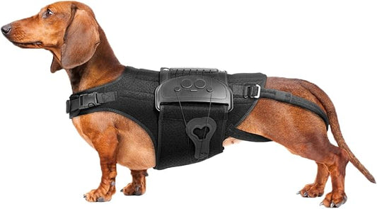 Dog Back Brace for IVDD, Arthritis, Slipped and Herniated Discs – Provides Back Support and Pain Relief, Stabilizes Spine for Surgical Recovery and Mobility, Dogs Back Disease Prevention(Black,S)