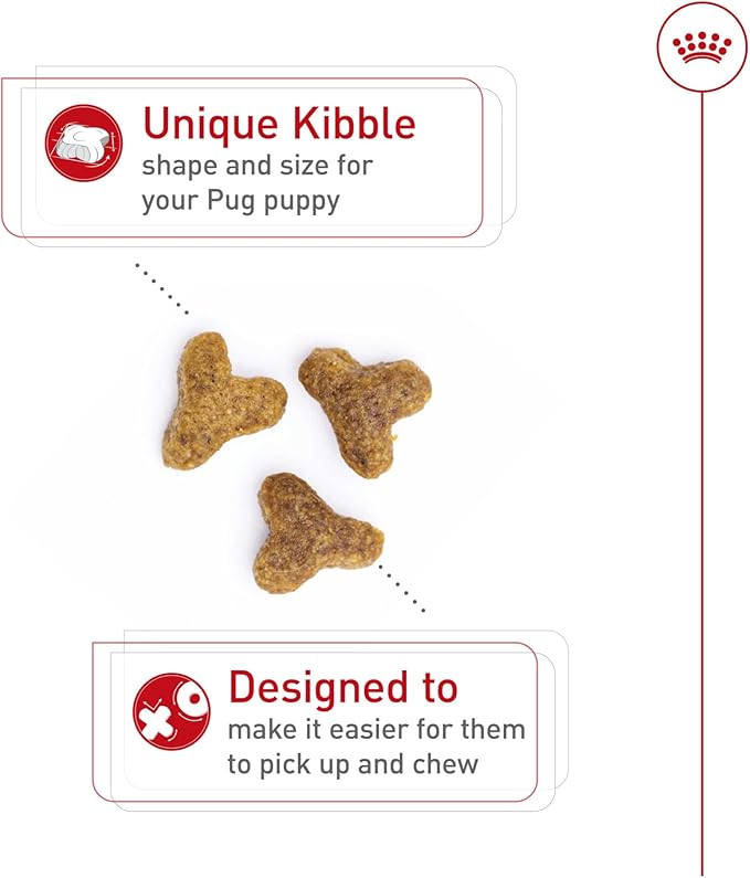 Royal Canin Breed Health Nutrition Pug Puppy Dry Dog Food, 2.5 lb Bag